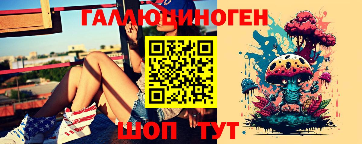 Галлюциногенные грибы Psilocybe Амурск