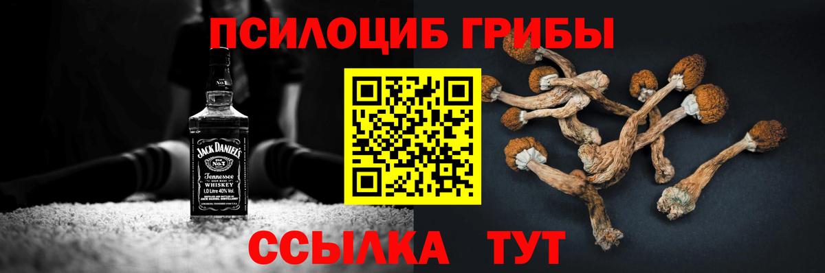 Амурск  Псилоцибиновые грибы MAGIC MUSHROOMS  Вход с VPN 